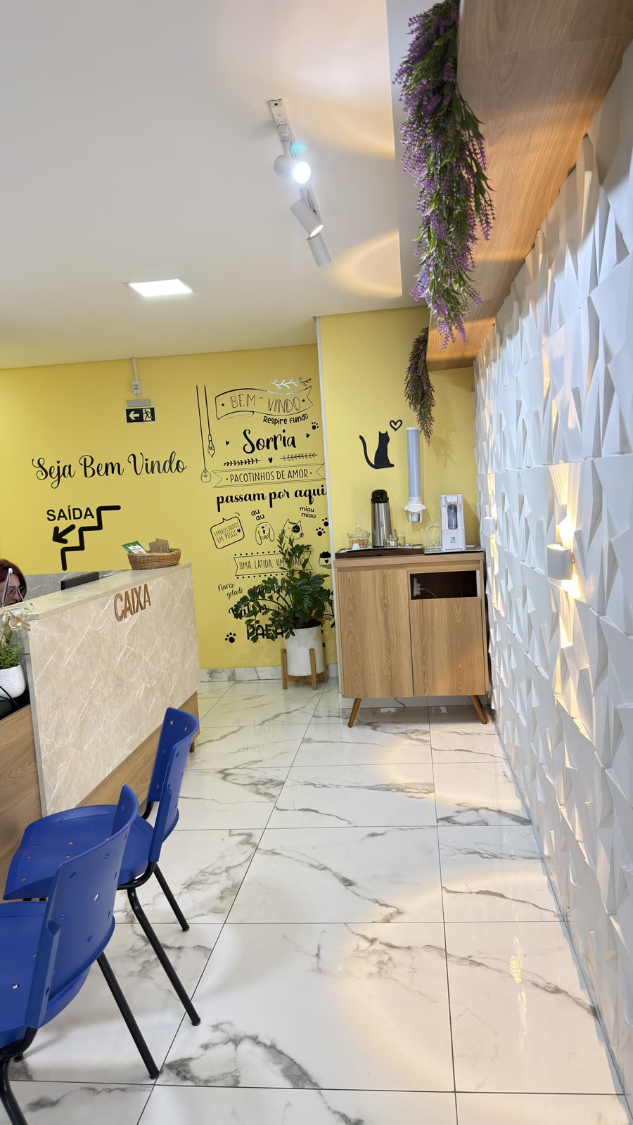 Caixa e balcão de atendimento da Coellho Pet Center
